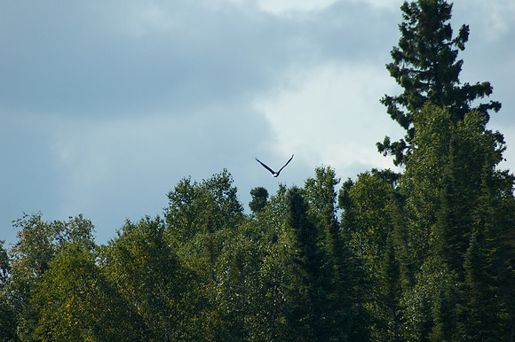 2008 09 11_2205_edited-1