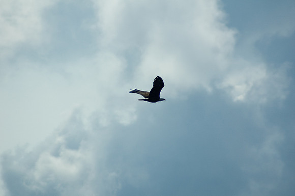 2008 09 11_2198_edited-1