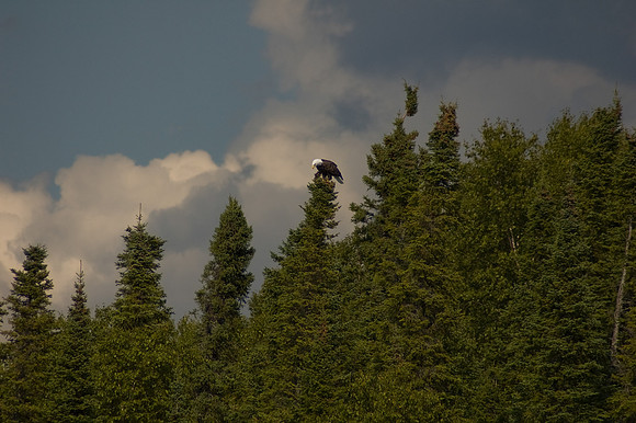 2008 09 11_2210_edited-1