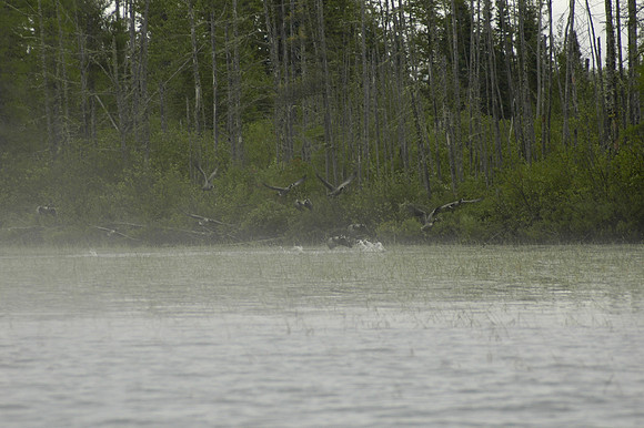 2008 09 08_2007