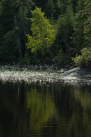 2008 09 10_2275