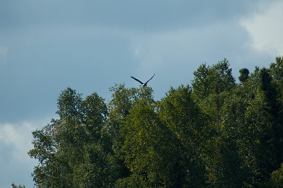 2008 09 11_2203_edited-1