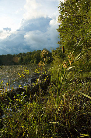 2008 09 06_2076_edited-1