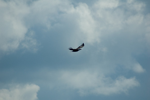 2008 09 11_2197_edited-1