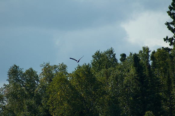 2008 09 11_2204_edited-1