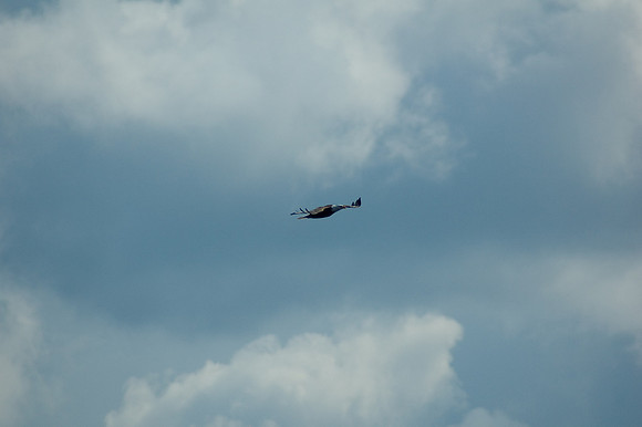 2008 09 11_2196_edited-1