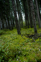 2008 09 06_2055