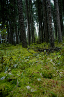 2008 09 06_2056