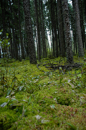 2008 09 06_2056