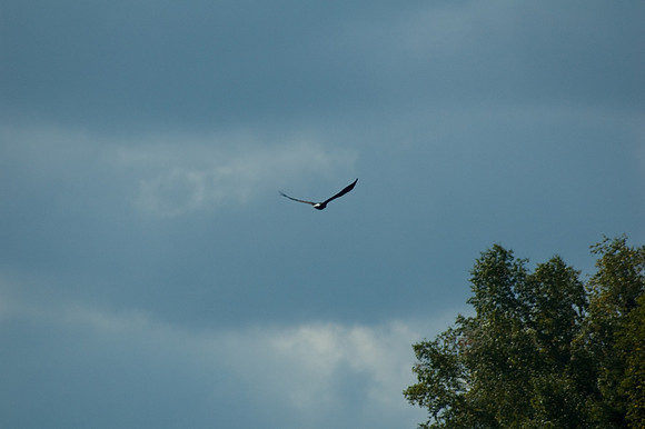 2008 09 11_2201_edited-1