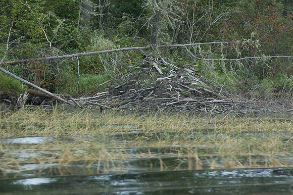 2008 09 08_2004_edited-1