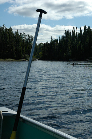 2008 09 08_2029