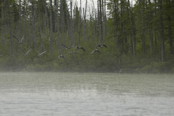 2008 09 08_2009