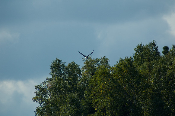 2008 09 11_2202_edited-1