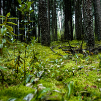 2008 09 06_2057