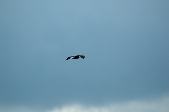 2008 09 11_2200_edited-1