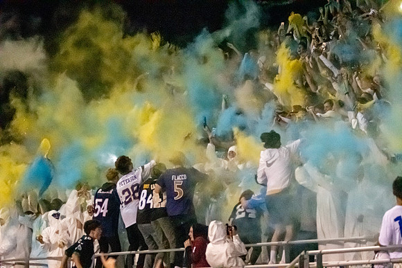 DSC_8619