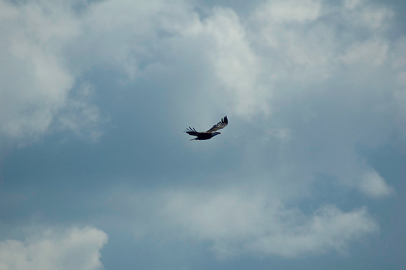 2008 09 11_2197_edited-1