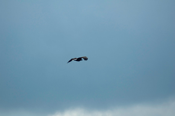 2008 09 11_2200_edited-1