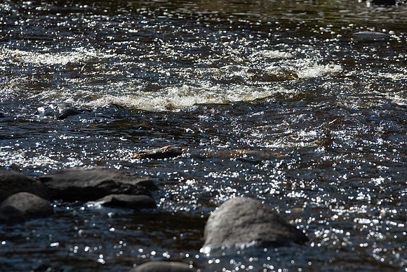 DSC_6306