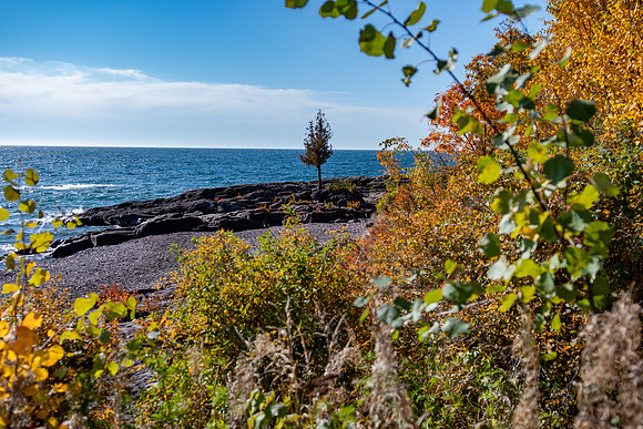 DSC_5606