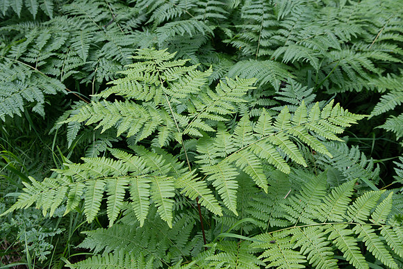 DSC_5051