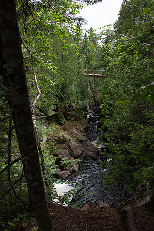 DSC_5008
