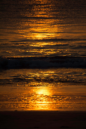 DSC_0421-120