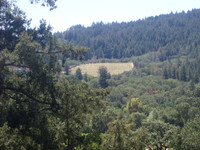 P1010029