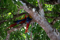 2014-03-28 Costa Rica