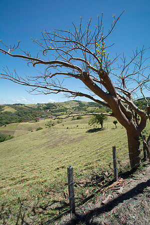 DSC_0617-313