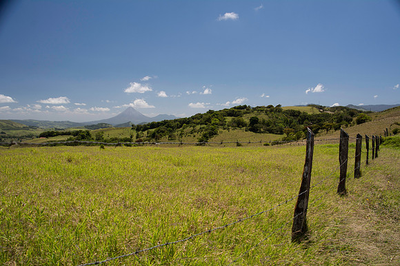 DSC_0624-319