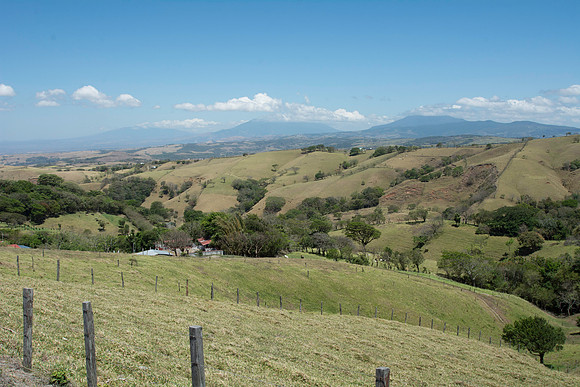 DSC_0613-309
