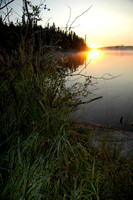 _DSC0054