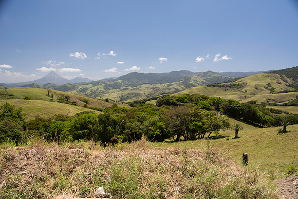 DSC_0632-327