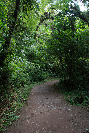 DSC_0674-366