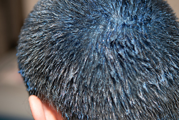 DSC_8241