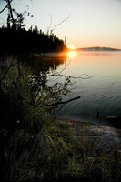 _DSC0049