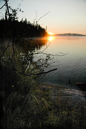 _DSC0049