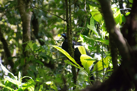 DSC_0675-367