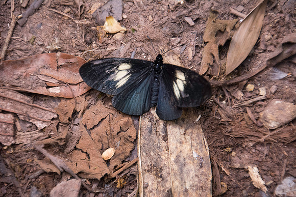 DSC_0657-349