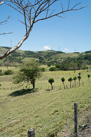 DSC_0620-316