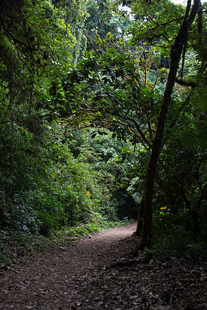 DSC_0655-347