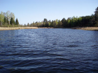 2010-05-16 Opener